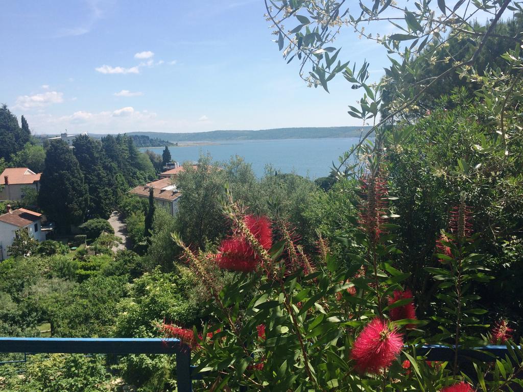 Apartments And Rooms Knez Portorose Esterno foto